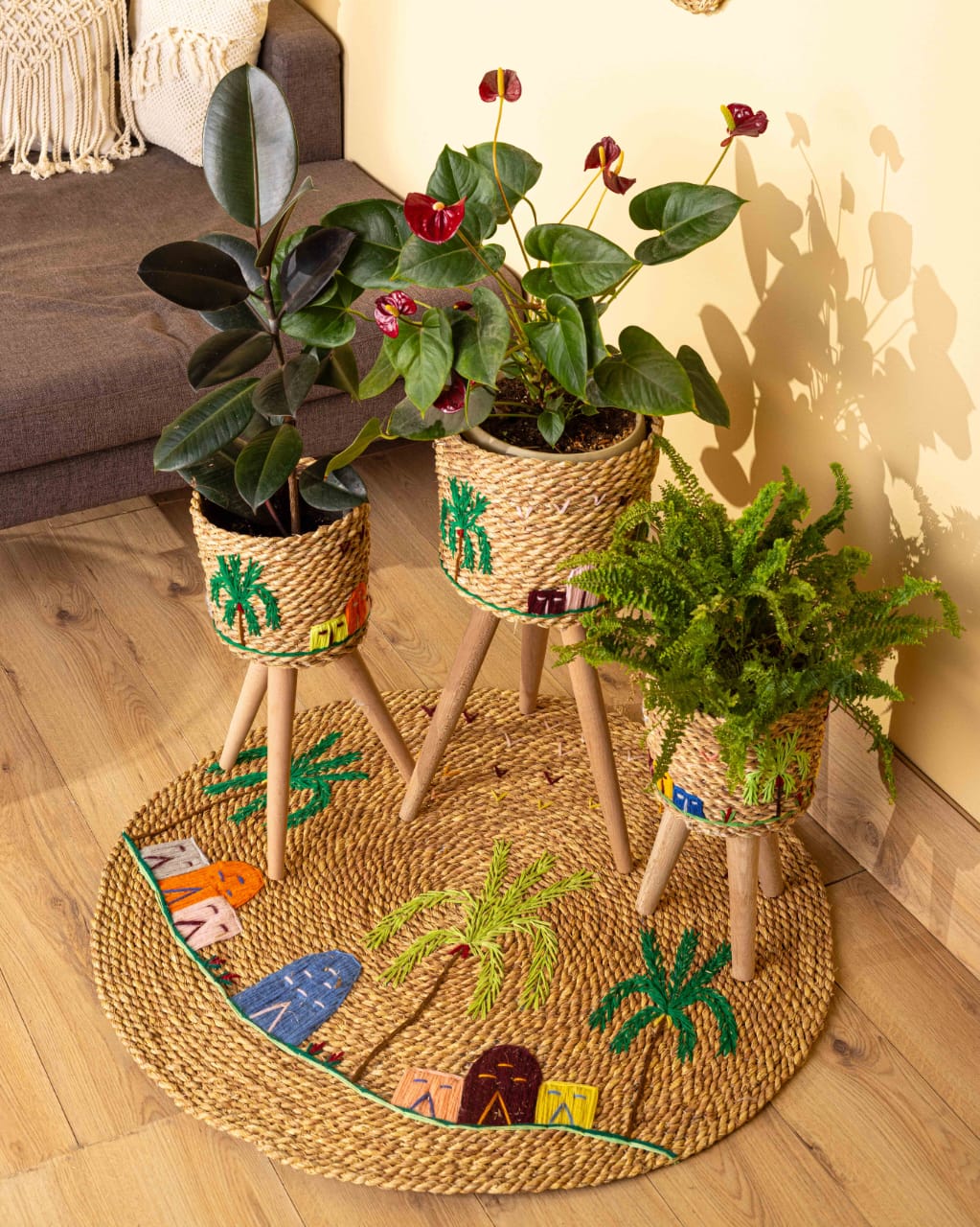Pot & Plants