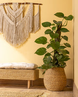 Handmade Halfa Planter Basket with Live Pothos Plant