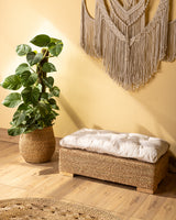 Handmade Halfa Planter Basket with Live Pothos Plant
