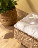 Handmade Halfa Planter Basket with Live Pothos Plant