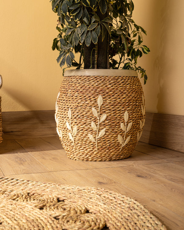 Handmade Halfa Embroidered Planter with Live Schefflera