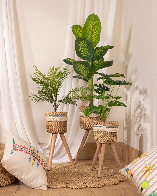pot&plant Shape2
