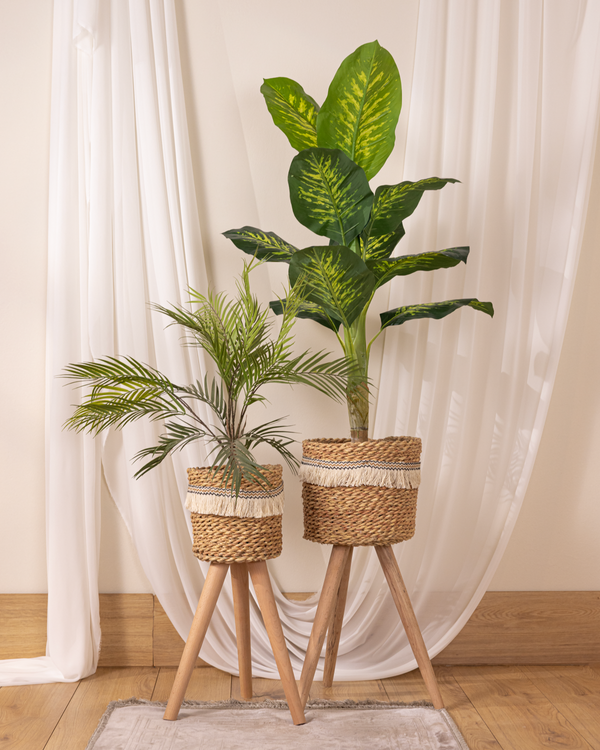 pot&plant Shape3