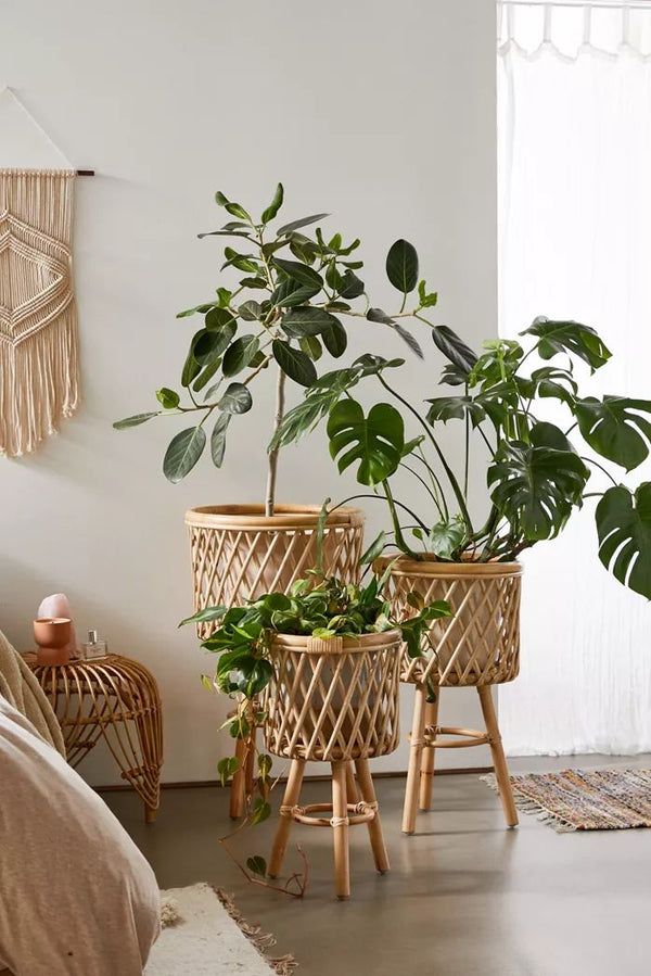 Rattan Trio Plant Stand Set – 3 Graduated Sizes