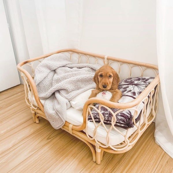 Rattan Dog Bed – Handcrafted Pet Sofa with Cushion