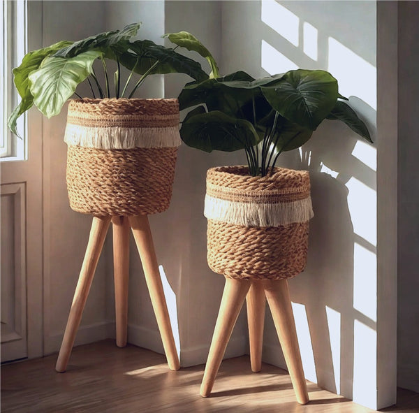 pot&plant Shape1